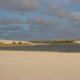 95- Oasis sur la plage 
